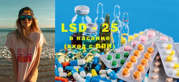 индика Елабуга
