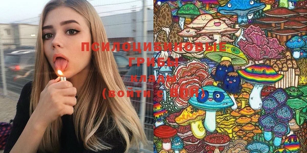 дурь Абдулино