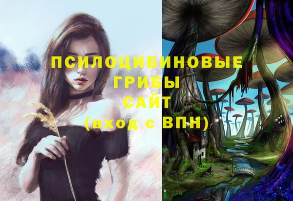 прущие крисы Абаза